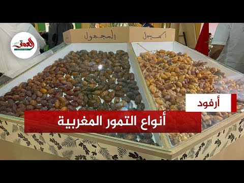 تعرف على أنواع التمور المغربية الجودة المنطقة والأسعار والمفضل لدى المغاربة