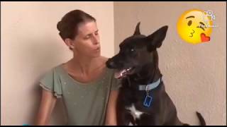 Verhaaltje Met Tante Shirley