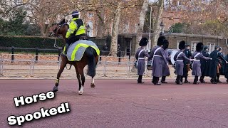 Horse Dances! Great control by the Police