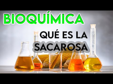 Video: ¿Cuáles son las propiedades químicas de la sacarosa?