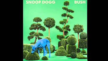 Snoop Dogg - California Roll ft. Stevie Wonder (HQ)