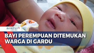 Bayi Perempuan Dibuang di Gardu