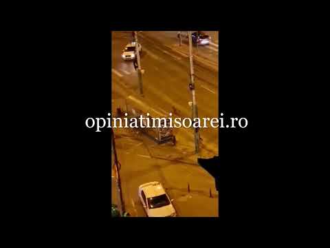 Caini maidanezi la Gara de Nord din Timisoara