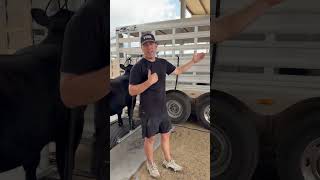 Showing Off A Trailer: Our setup at jackpot shows when we show off the trailer