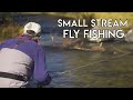 Fly Fishing Small Streams | How To