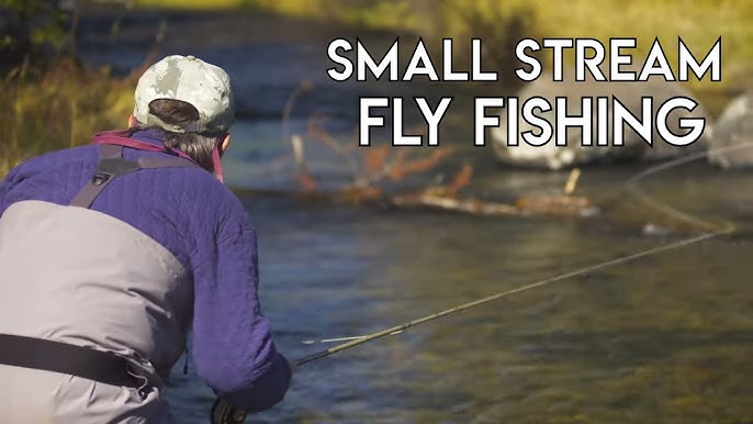 How to Choose The BEST Small Stream Fly Rod Setup 