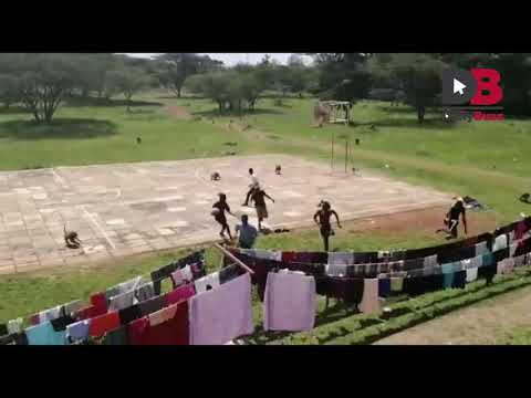 Monkeys Chasing Students in Multimedia University of Kenya