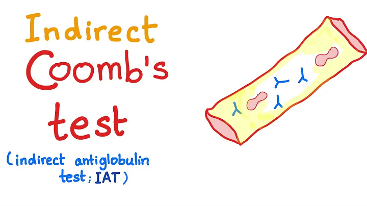 Indirect Coombs Test