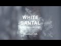 MD SCENTS | WHITE SANTAL