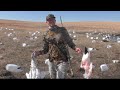 2021 Snow Goose Conservation- Sunny Pond Day