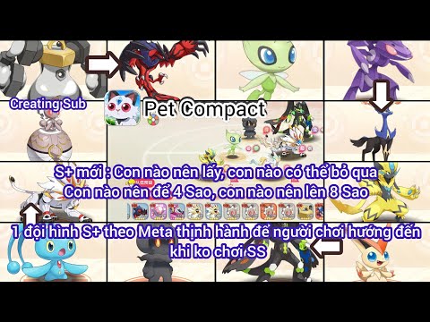 #1 Pet Compact – 1 trong những Meta S+ thịnh hành để người chơi có định hướng (Khi không xài SS) Mới Nhất