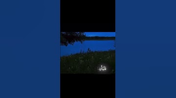 سورة الطور بصوت القارئ ياسر الدوسري