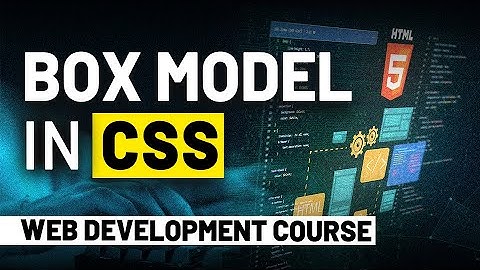 CSS Tutorial | CSS Box Model | Padding, Margin, & Borders