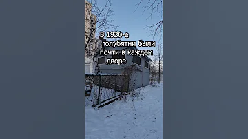 Московские голубятни