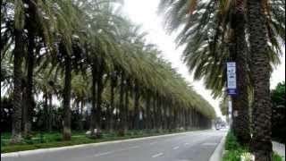 Debby Boone ~ California ☼