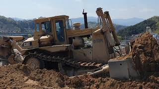 [4K] 초대형 불도저 Cat D10N Dozer Pushing & Ripping(63 ton)