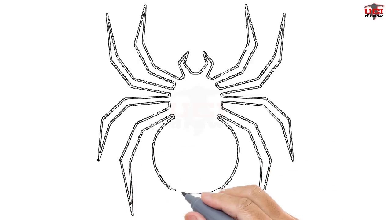 How to Draw a Spider Easy Step By Step Drawing Tutorials for Beginners