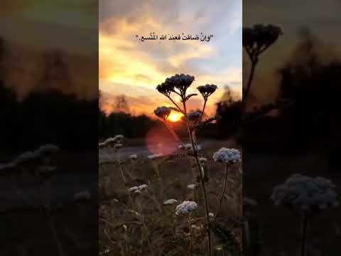 موسيقى حزينه يبحث عنها الجميع نعمه رنين نعمه رنين حزينه 2021