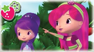 Strawberry Shortcake The Berry Best Choice New Series Cartoons For Kids Wildbrain