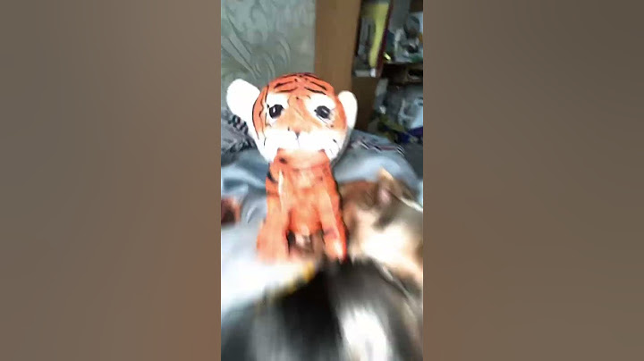 короче ты мне нравишься…❤️