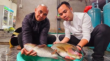 Đại tiệc Cá Bỗng Khủng (Cá Thần) 7kg Hạ Thành Quán đón hơn 400 khách trong ngày. Nguyễn Tất Thắng