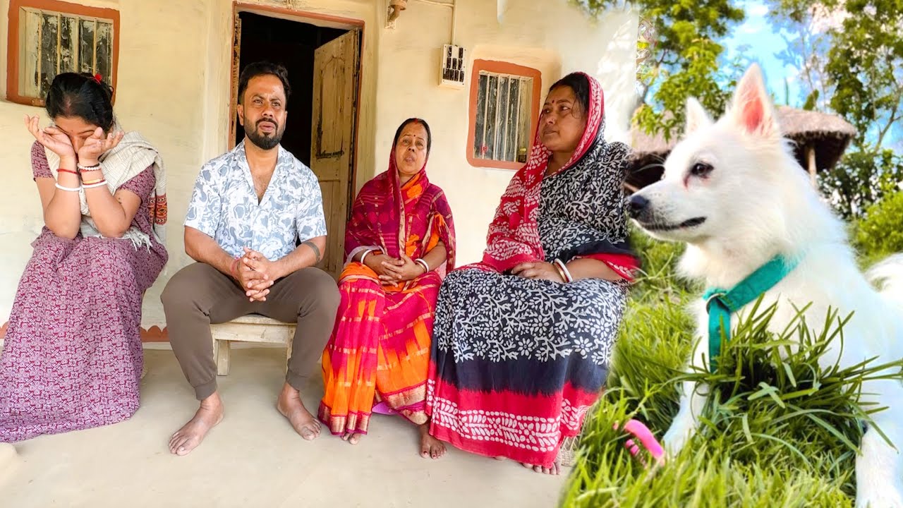 গোলুকে নিয়ে আজ আপনাদের সব বললাম |