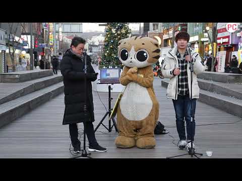 JHKTV] 신촌 명물고양이 &amp;<strong>amp</strong>;노희섭 교수 오솔레미오 shin chon special <strong>cat</strong>&amp;<strong>amp</strong>;Professor Noh Hee-sub Oh Sole mio