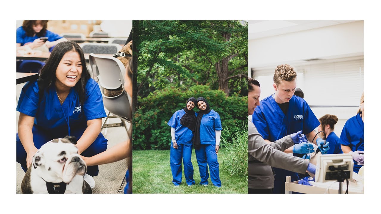 SCRUBS Camp (St Paul College) Day 4 YouTube