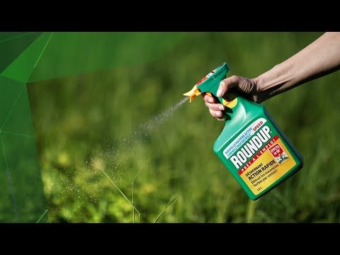 Vidéo: Préoccupations Concernant L'utilisation D'herbicides à Base De Glyphosate Et Les Risques Associés Aux Expositions: Une Déclaration De Consensus