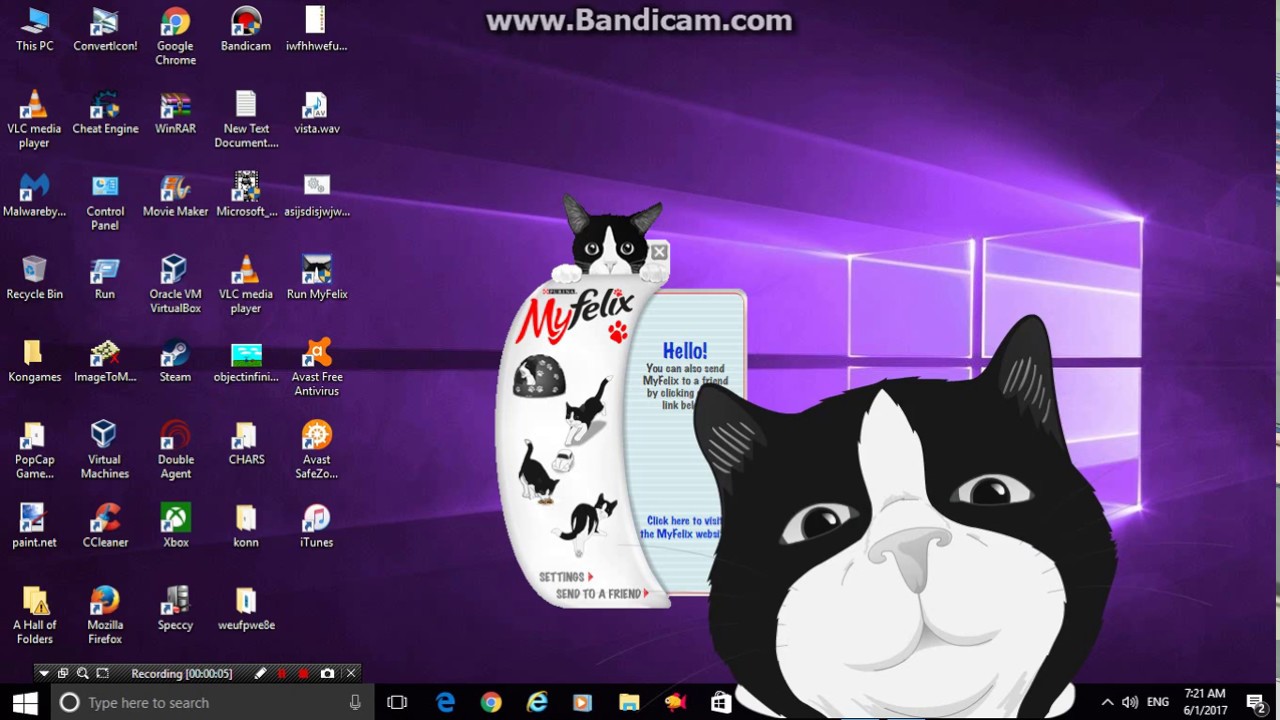 Grow Up the Cats - Jogo para Mac, Windows (PC), Linux - WebCatalog