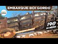 EMBARQUE BOI GORDO P FRIGORÍFICO 19@ - MOSTRANDO BEZERROS E DESEMBARQUE DE GARROTES DA OUTRA FAZENDA