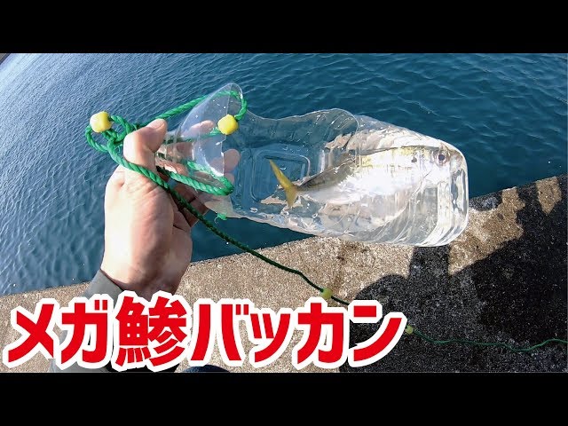 釣吉四平さん専用 釣りスギ四平tsurisugiyonpei - YouTube 釣吉四平さん専用 釣りスギ四平tsurisugiyonpei - YouTube