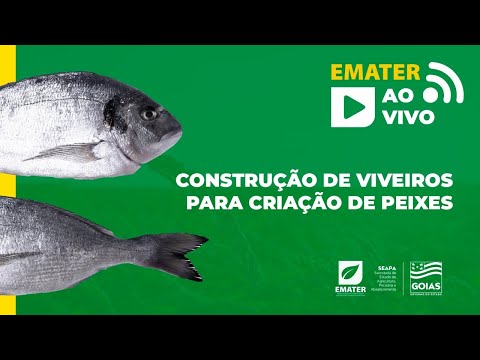 Construção de Viveiros para Criação de Peixe