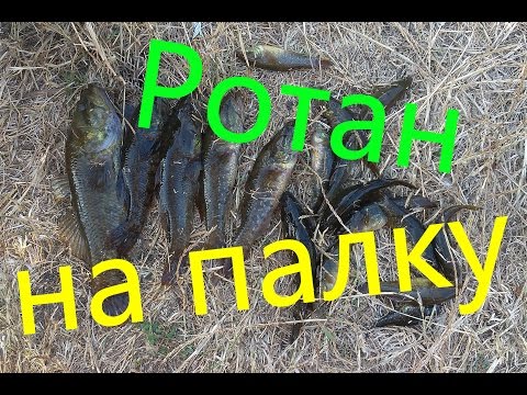 как сделать удочку для ловли ротана