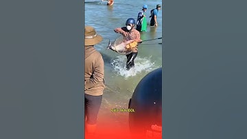 Người dân đến hồ Trị an bắt cá đông vui như một lễ hội #cakhung