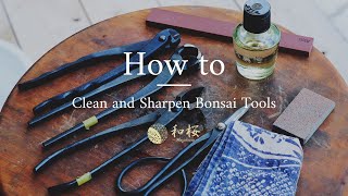 Bonsai Tool Maintenance: How do you clean and sharpen Bonsai Tools  || Wazakura Japan