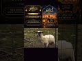 2026 Eid UL Adha is coming #bakraeid#2026#islamicpost#fvpシ#shorts#viral