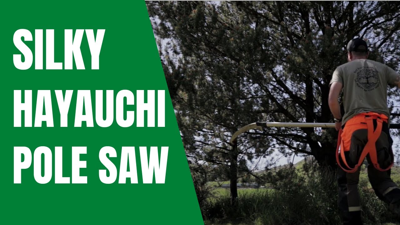 Branch Thinning with The Silky Hayauchi Pole Saw YouTube