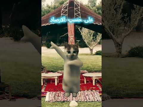 Ahidous X Gnawi Official Khalini Chad Stoni Aminebeats Remix خليني شاد ستوني