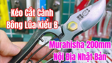 [ Tập 2223 ] Kéo cắt cành Bông Lúa Kiểu B Murahisha 200mm nội địa Nhật Bản