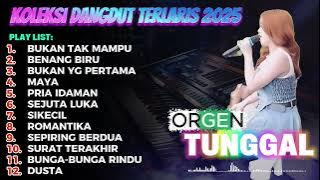 ORGEN TUNGGAL DANGDUT PILIHAN HITS 2025