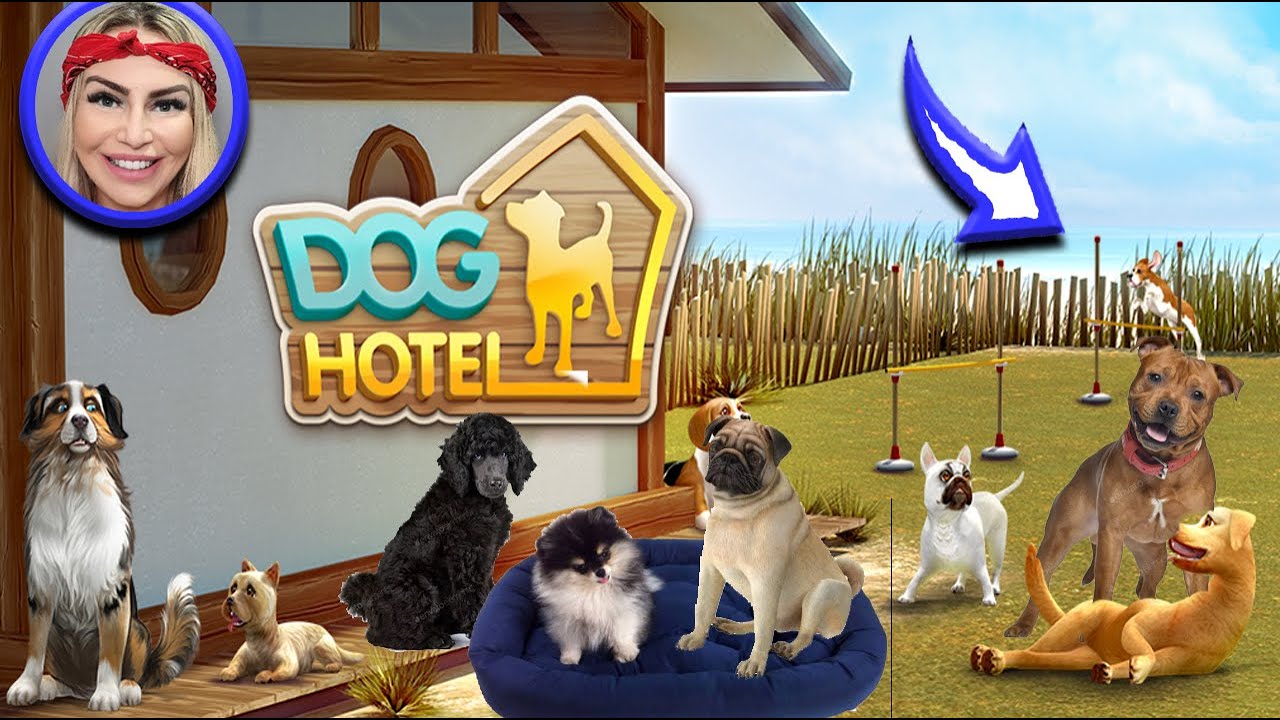 my pet care hotel - jogo de resgate e abrigo de animais, seja um  veterinário e zelador em jogos de gatos e cães grátis para  crianças::Appstore for Android