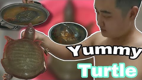 TURTLE SOUP CHINESE RECIPE | kitty jella vlogs