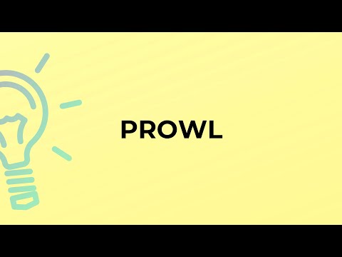 Video: ¿Prowl es un sustantivo?