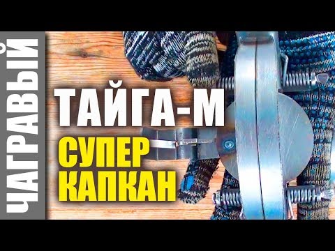 СУПЕР-КАПКАН Тайга-М, какой он?