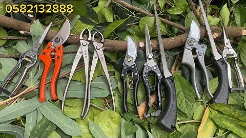 GIẢM GIÁ TRI ÂN các mẫu kéo cắt cành cầm tay v9 COMBO KÉO SK5 tay bạc | BỘ CẠP CÂY CÀNH TẶNG CƯA