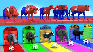 paint animals gorilla elephant cow lion tiger brown bear fountain crossing animal cartoon game