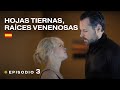 HOJAS TIERNAS, RAÍCES VENENOSAS. Novela policíaca, mini-serie. Episodio completo #3 de 4 🎥 RusFilmES