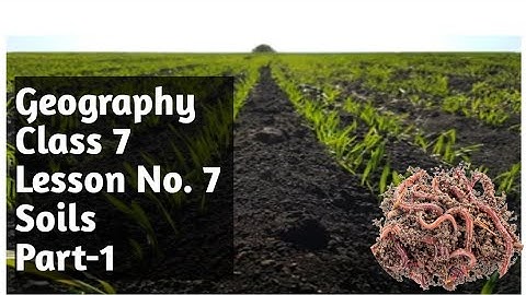 Geography/Class 7/Lesson No. 7/Soil/Part-1