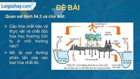 Mô tả con đường phát tán các loại hóa chất